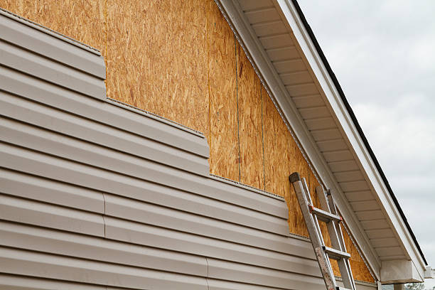 Professional Siding Repair technician working in Elkwood, VA